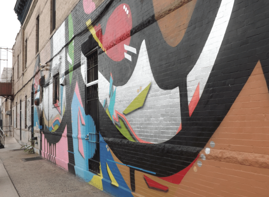 brooklyn graf