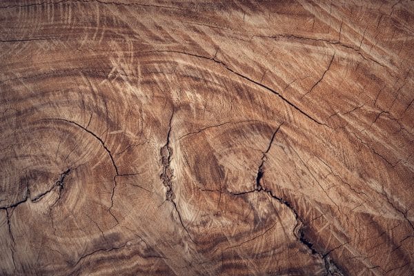 montre en bois