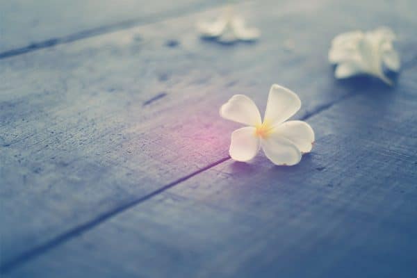 fleur